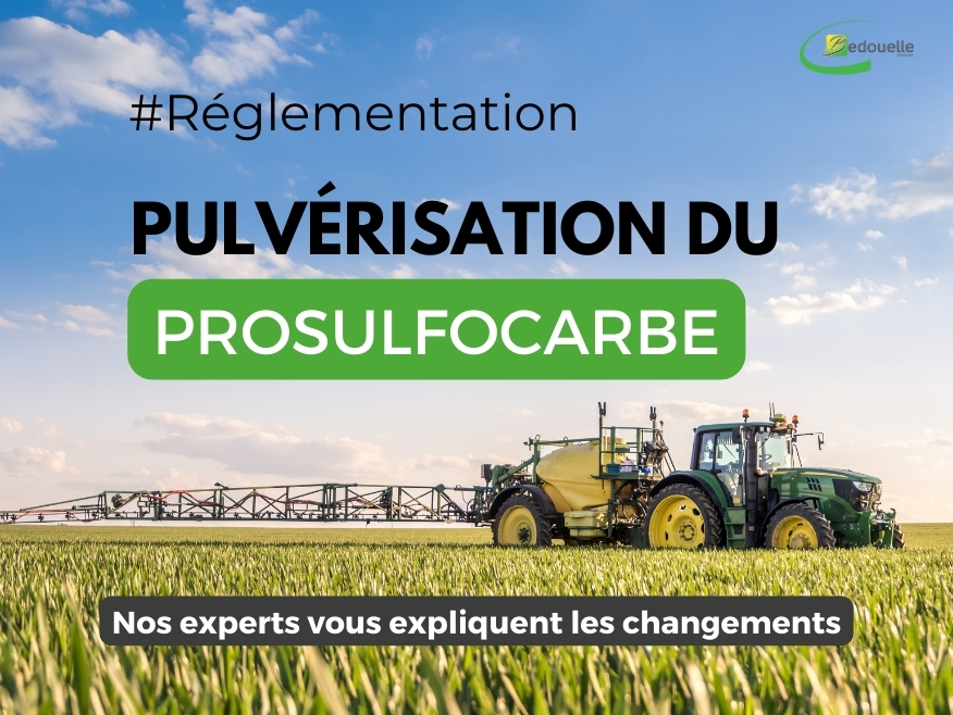 Pulvérisation du Prosulfocarbe : nos experts vous expliquent la réglementation