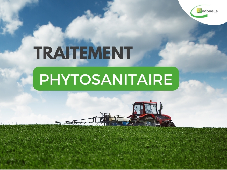 Traitement phytosanitaire : tout savoir sur les conditions et la réglementation