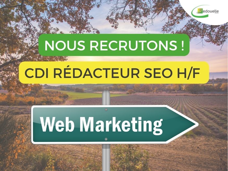 Nous recrutons en CDI : Rédacteur SEO - Web Marketing H/F